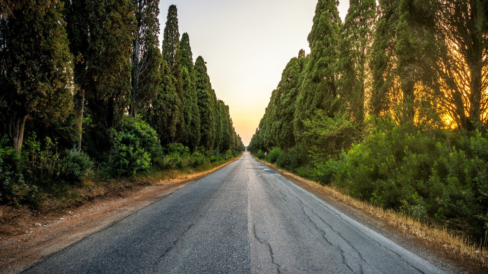 Pisa e Bolgheri wine tour — 4