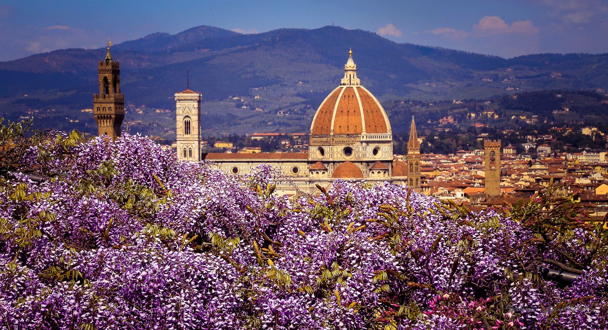 Firenze transfer diretto da Carrara e ritorno